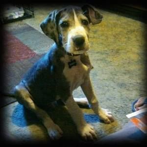 Meet your Posher, Linda